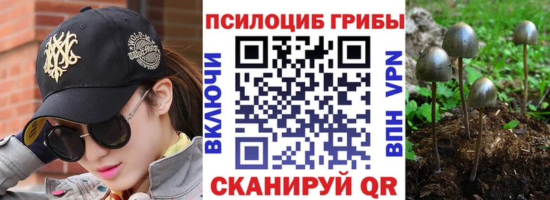 kraken ссылки  Ефремов  Псилоцибиновые грибы Psilocybe 